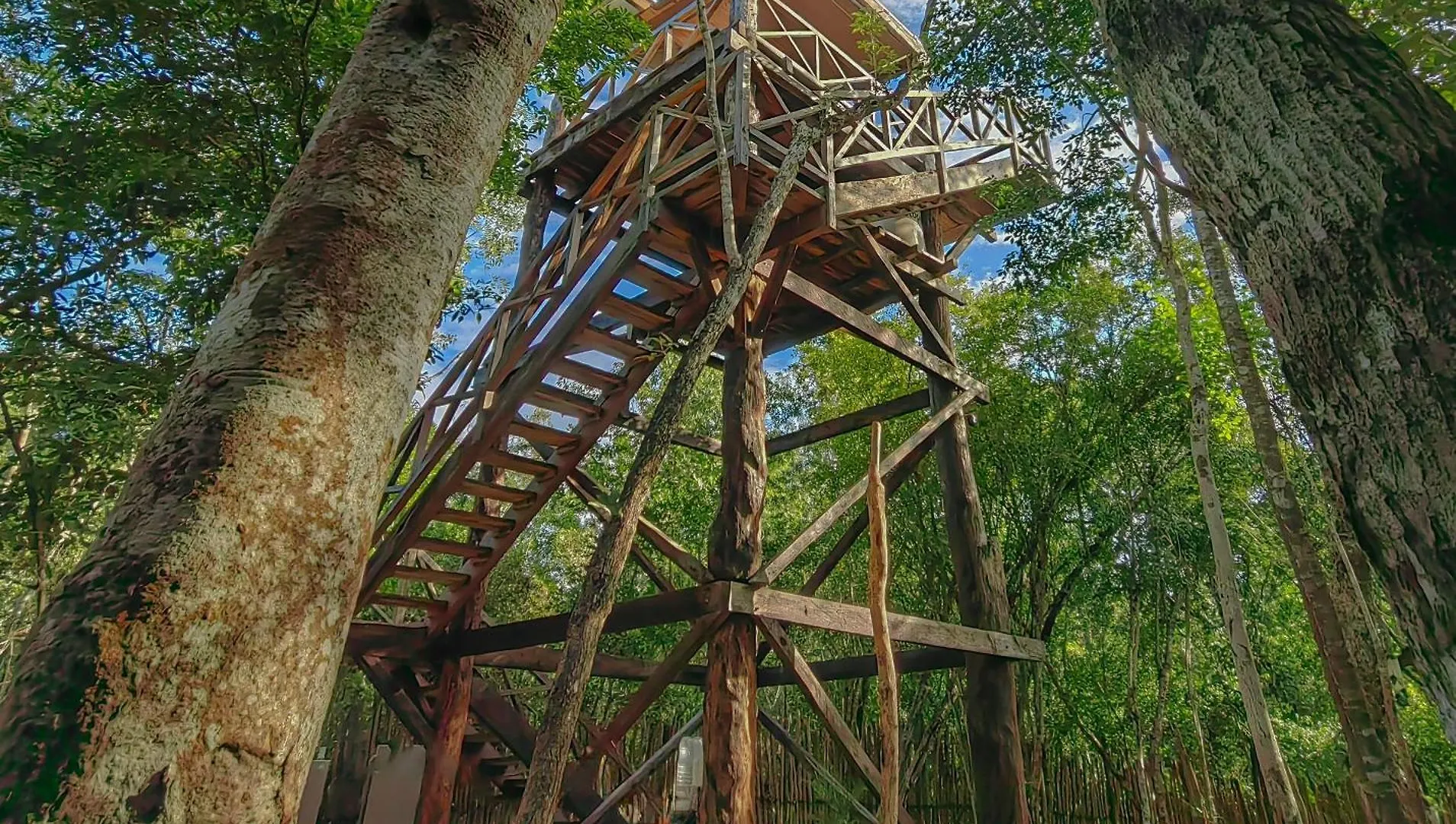 Treehouse Tulum H2Ojos Hotel Campsite