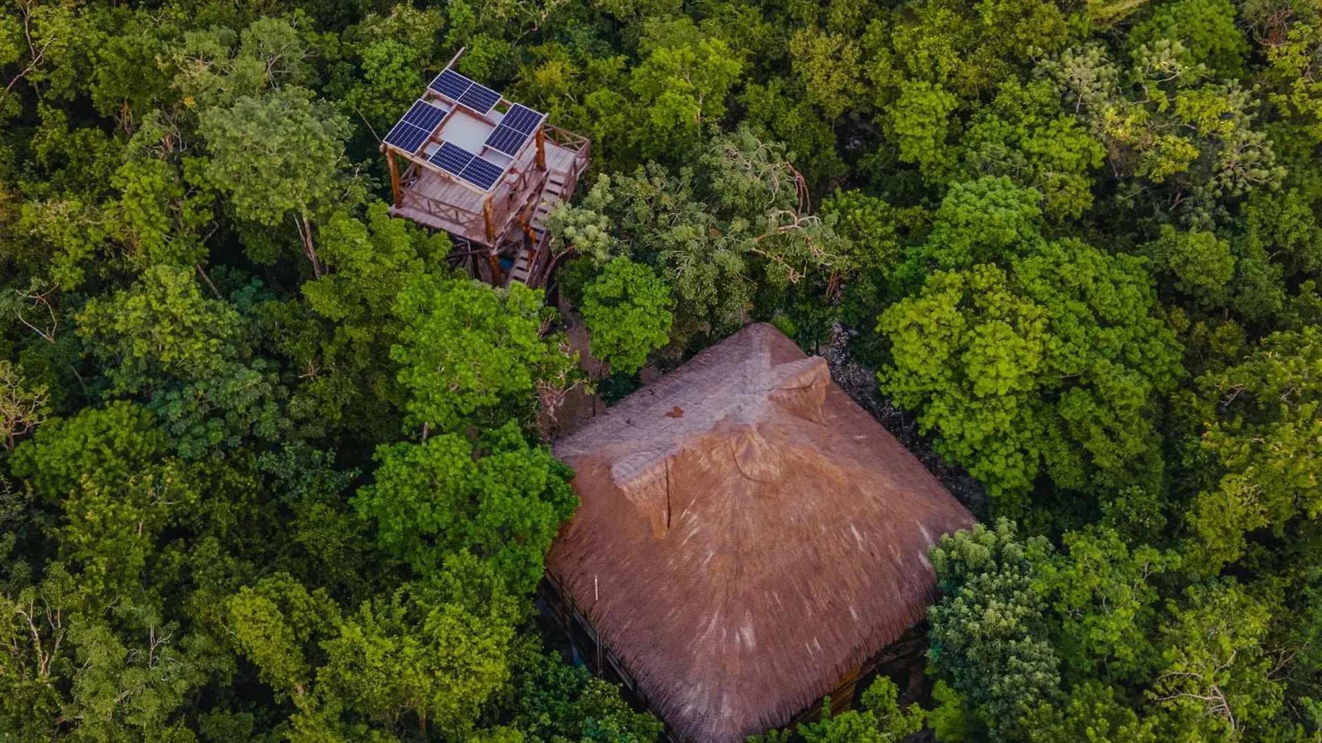 Treehouse Tulum H2Ojos Hotel Campsite