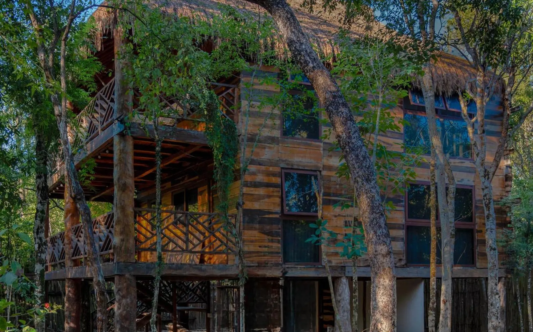 Hotel Treehouse Tulum H2Ojos Mexique